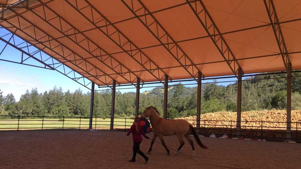 WeCoverEquine KENWOOD, CA RidingArena 3