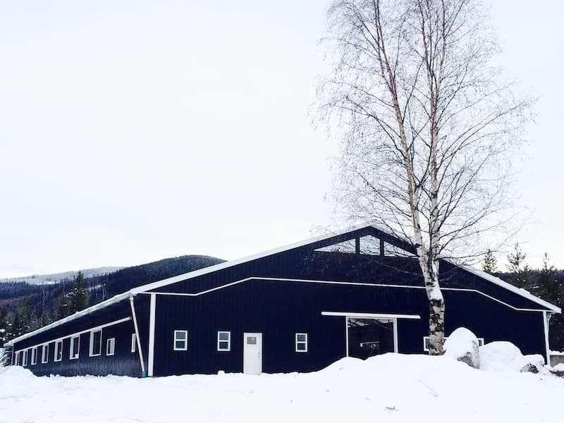 A steel frame riding arena in winter.