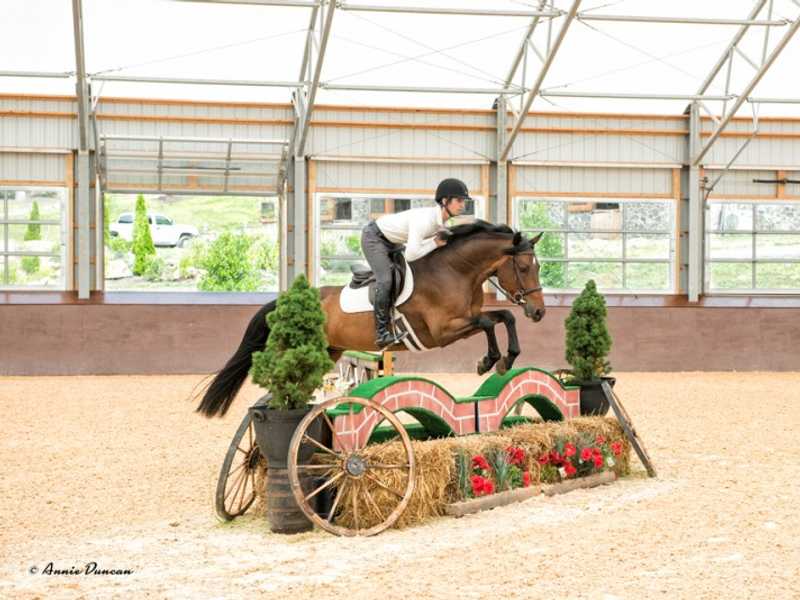 Horse jumping in WeCover fabric roof riding arena.