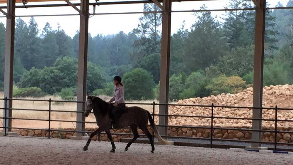 WeCoverEquine KENWOOD, CA RidingArena 5