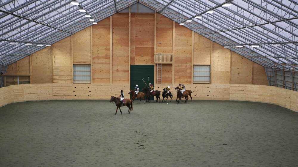 WeCoverEquine Warrenton, VA RidingArena 2